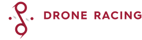 Drone Racing Latvia logo
